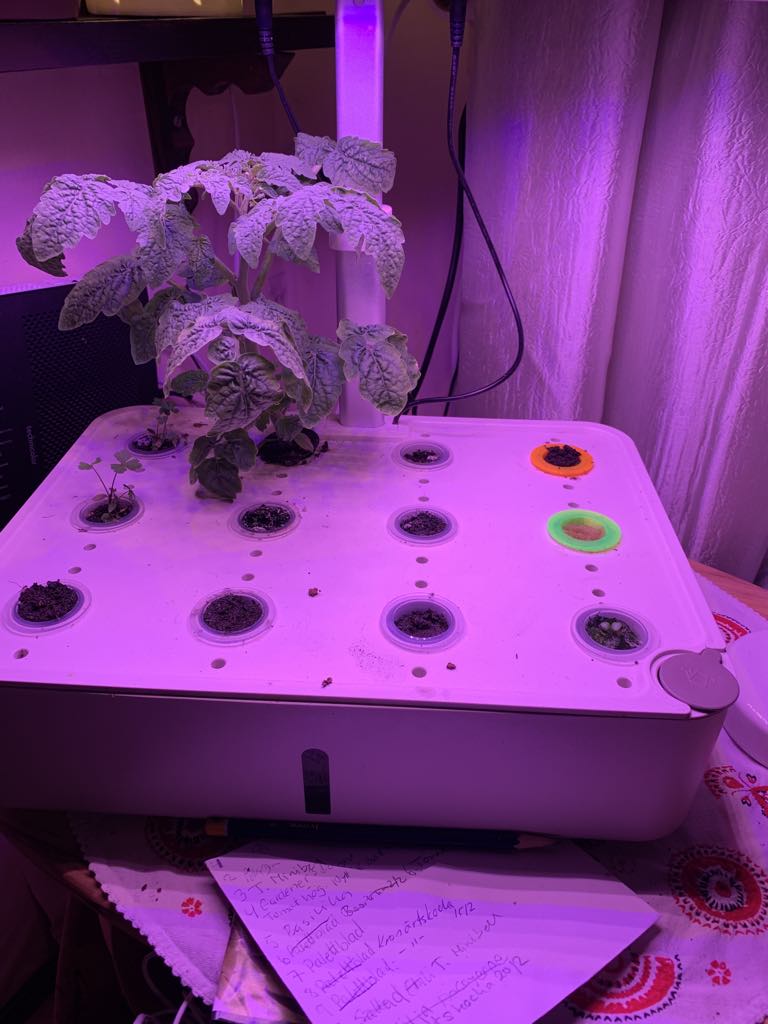 Hydroponic growing baskets — miniatura 2