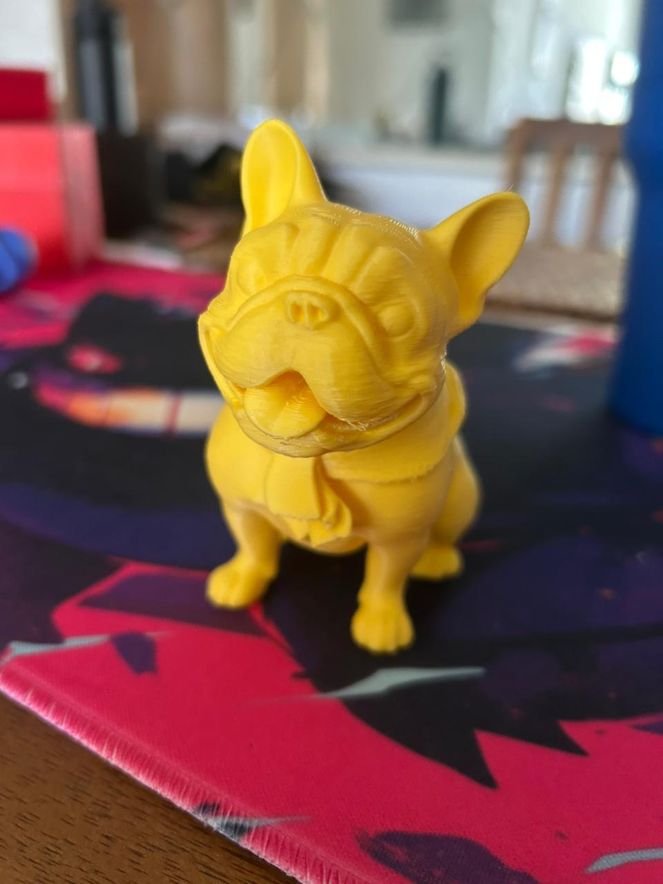 French Bulldog (Pepe)