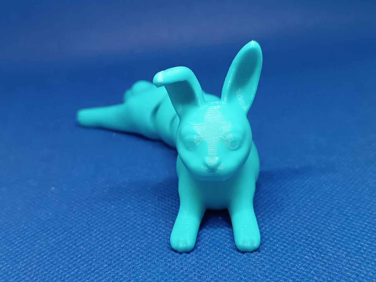 Articulated Bunny (print in place) by Valeria Momo & Mattia | Download ...