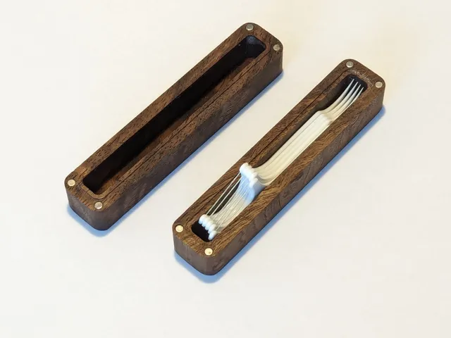 Travel box for floss sticks, enclosure, made to be held closed by magnets