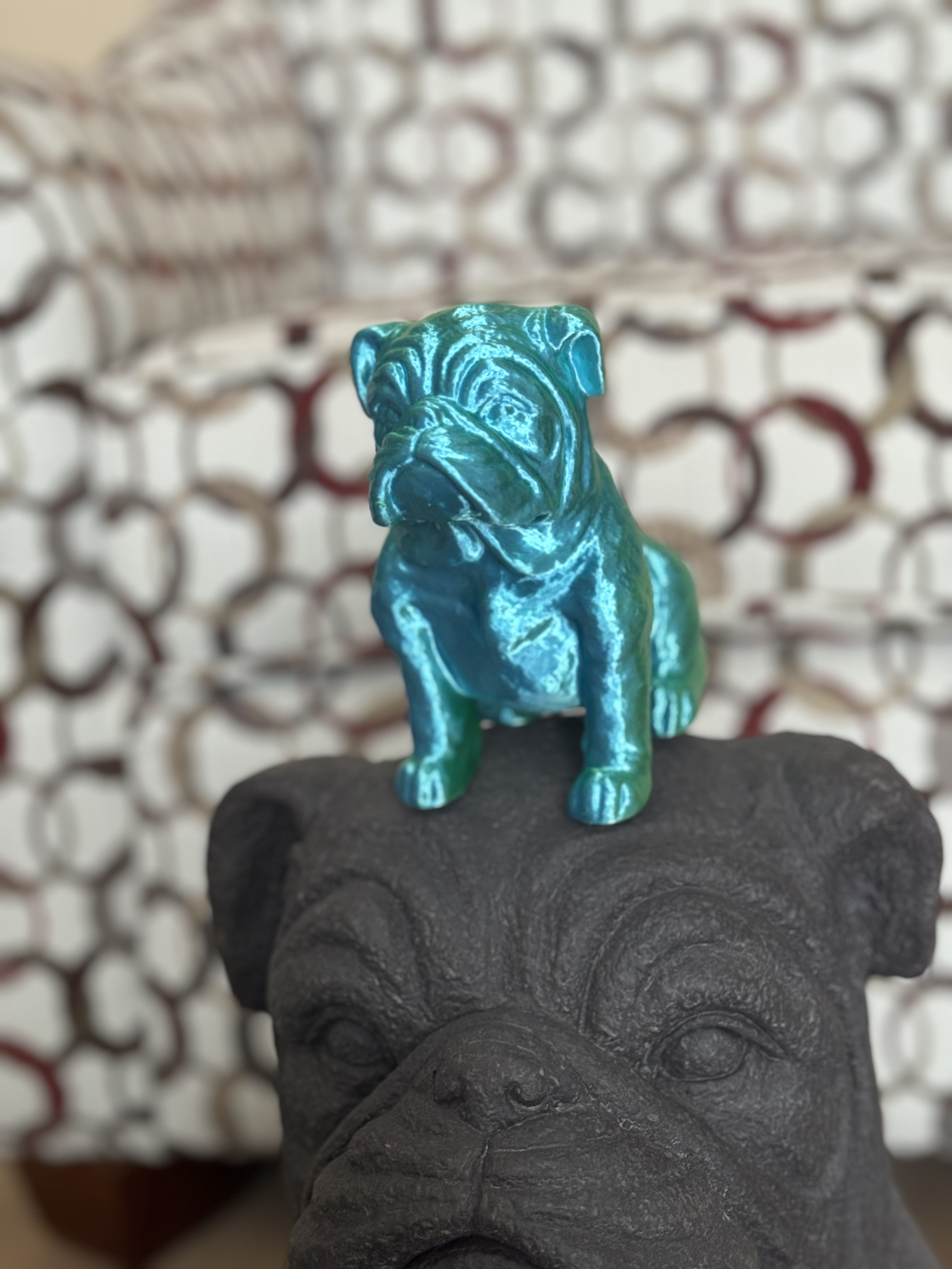 Sitting French Bull Dog