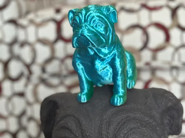 Sitting French Bull Dog