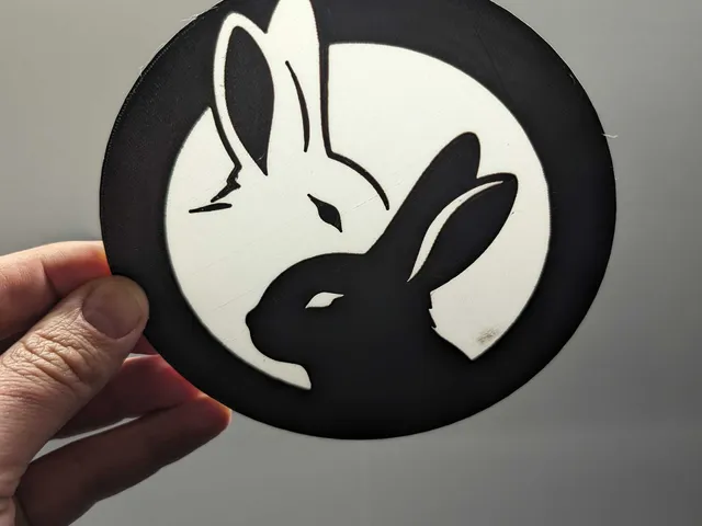 bunny jin jang - wall art