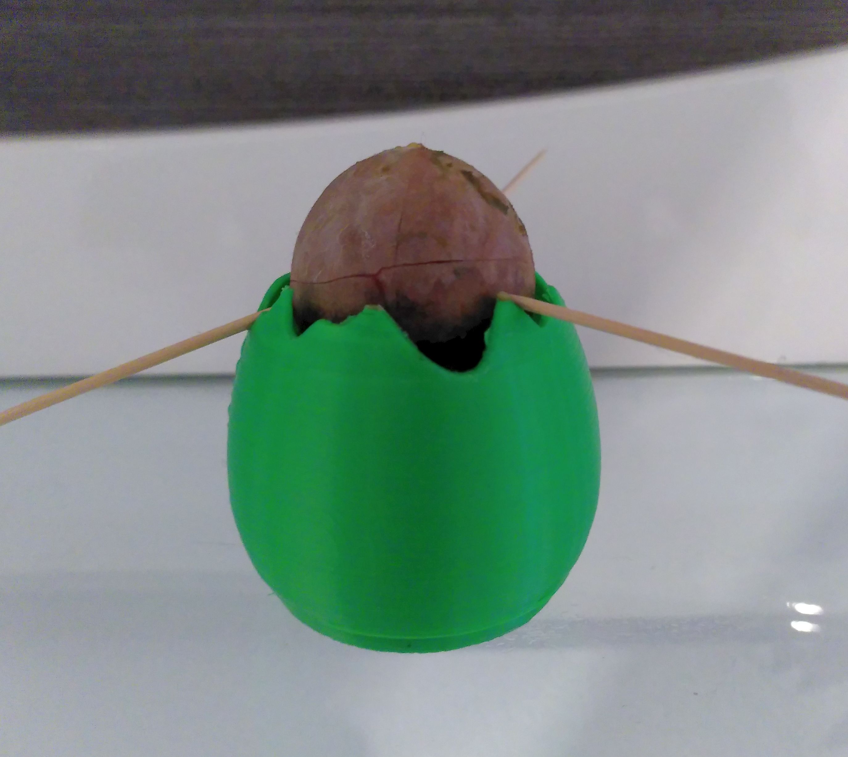 Eggshell Pot By Wolf3D Download Free STL Model Printables Eggshell pot by wolf3d download free stl model printables