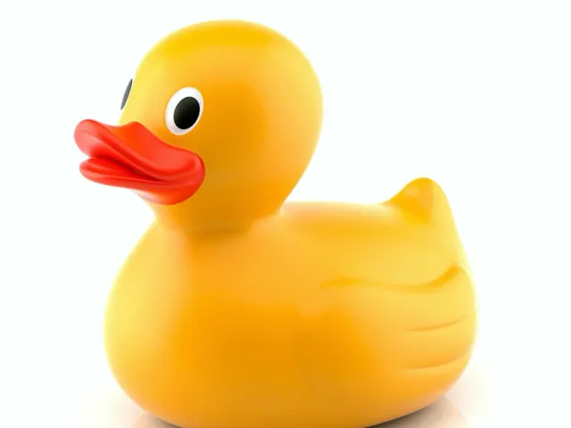 Samsung Remote Duck