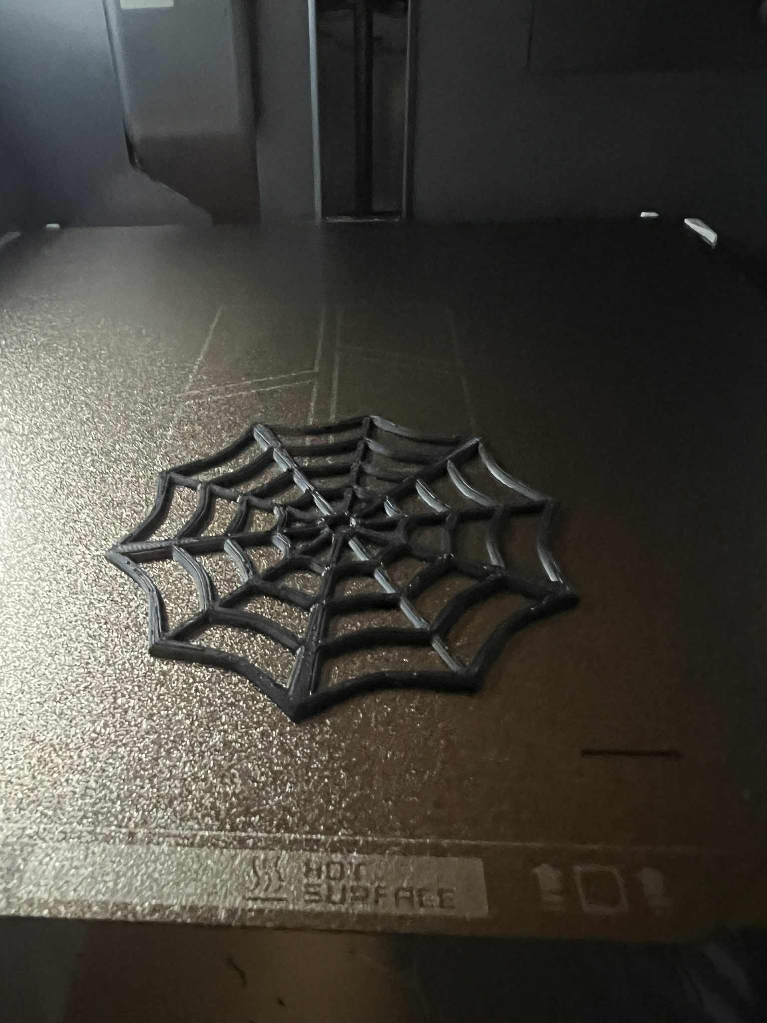 Spider web coaster