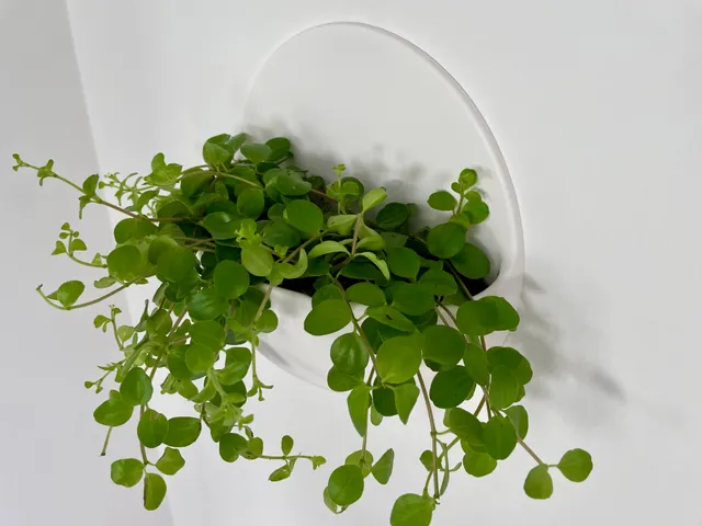 Wall planter