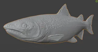 Realistic salmon