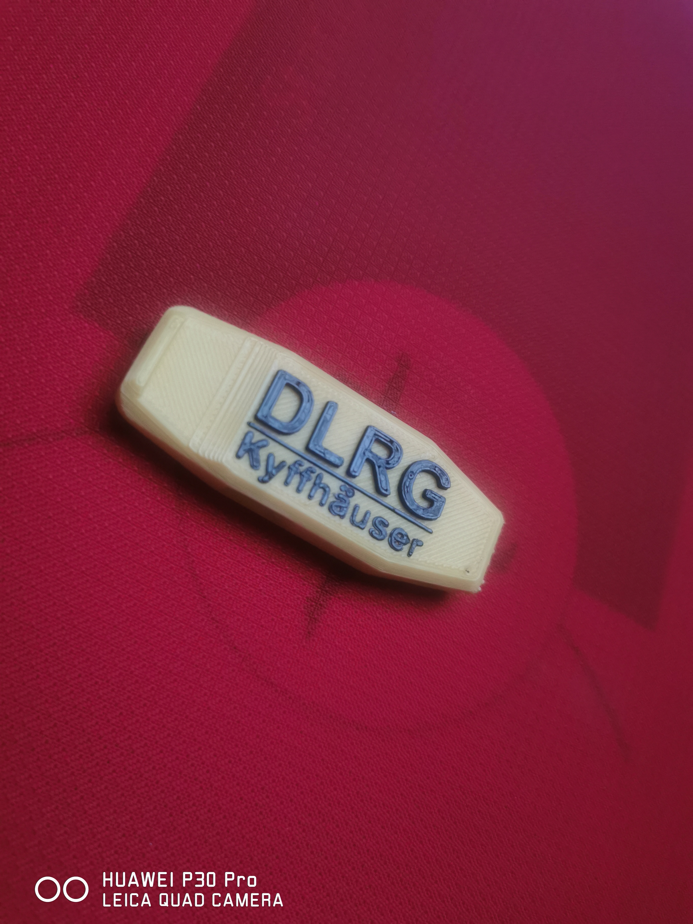 Pfeife mit DLRG