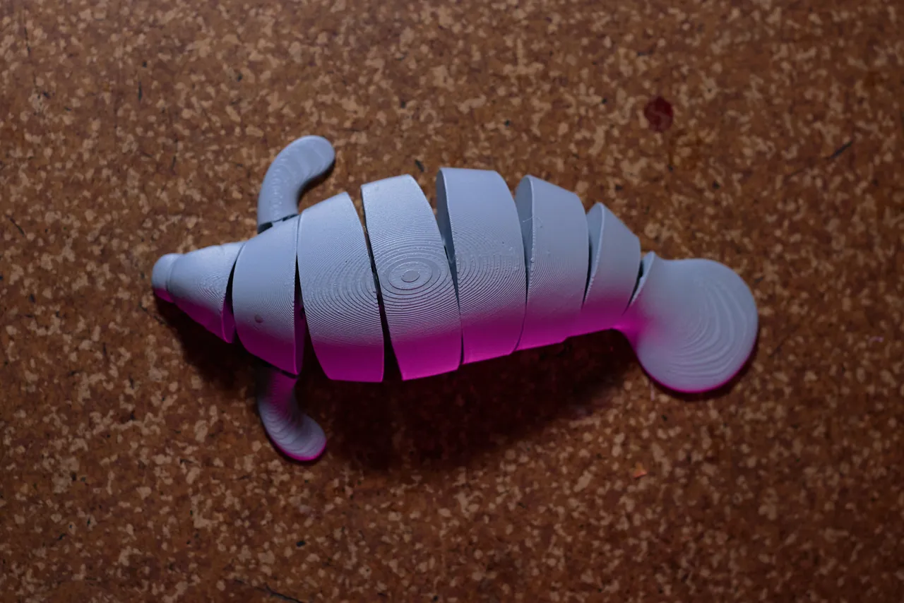 3D Printed Articulated Slug JUMBO/Medium Fidget Toy Slinky
