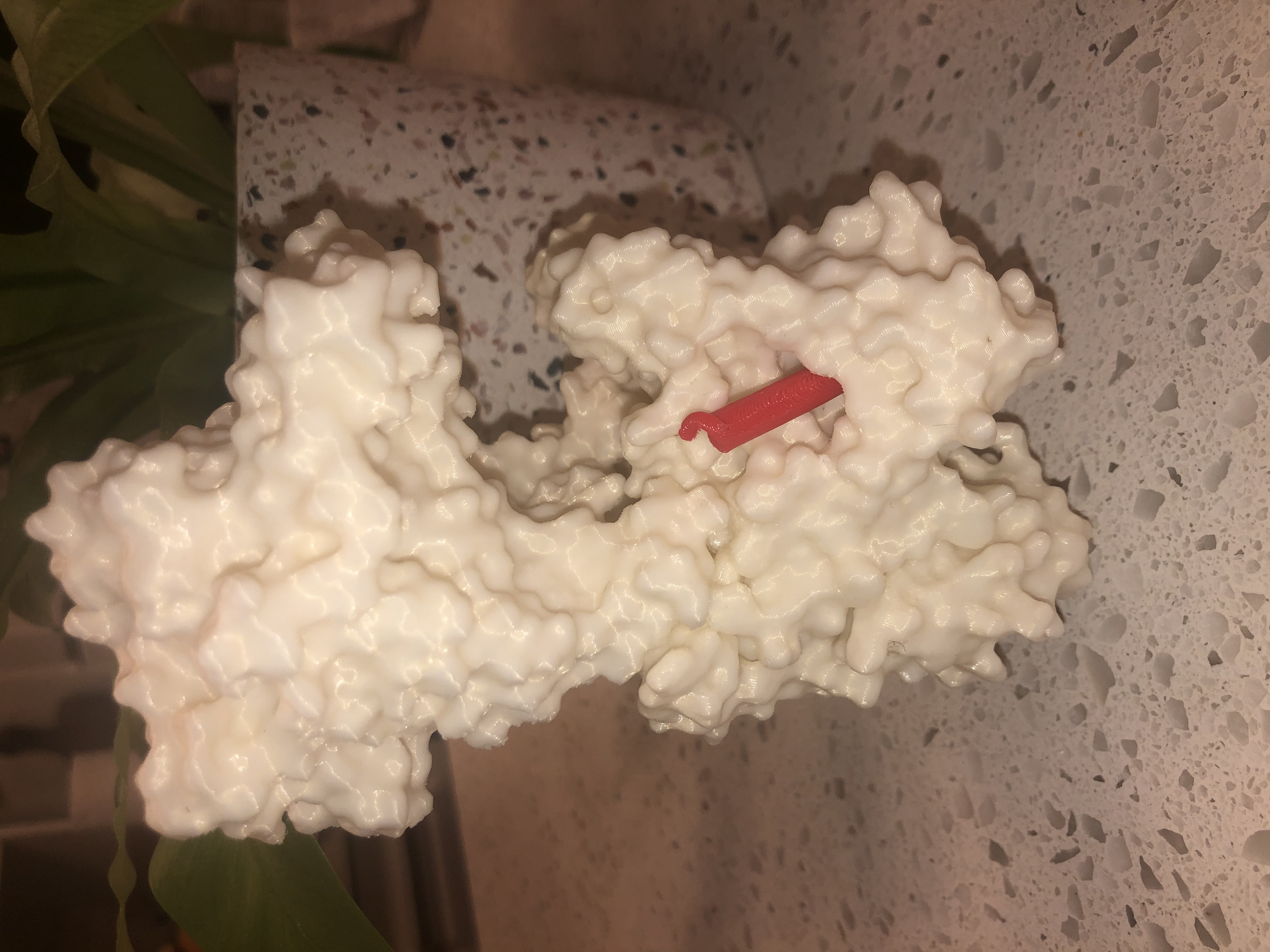 Alzheimer's protein + secretase model