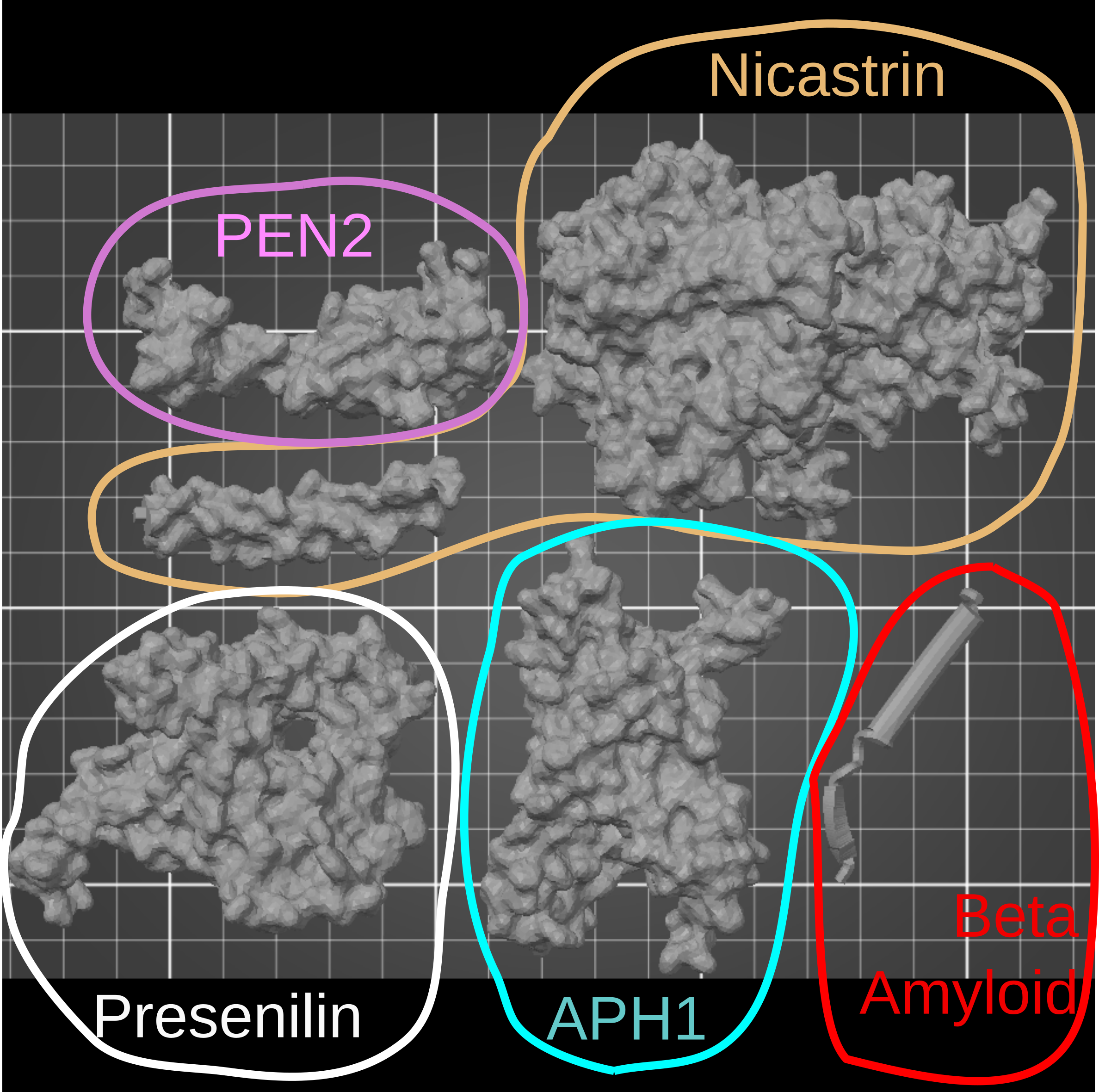 Alzheimer's protein + secretase model by RNAlab | Download free STL ...