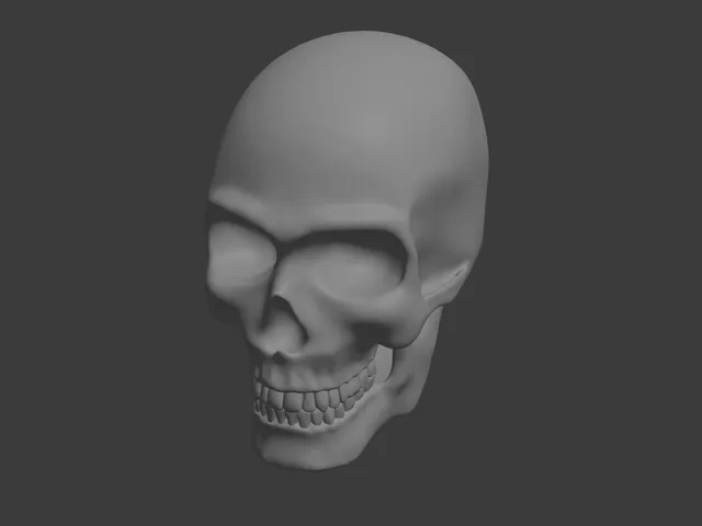 Skull