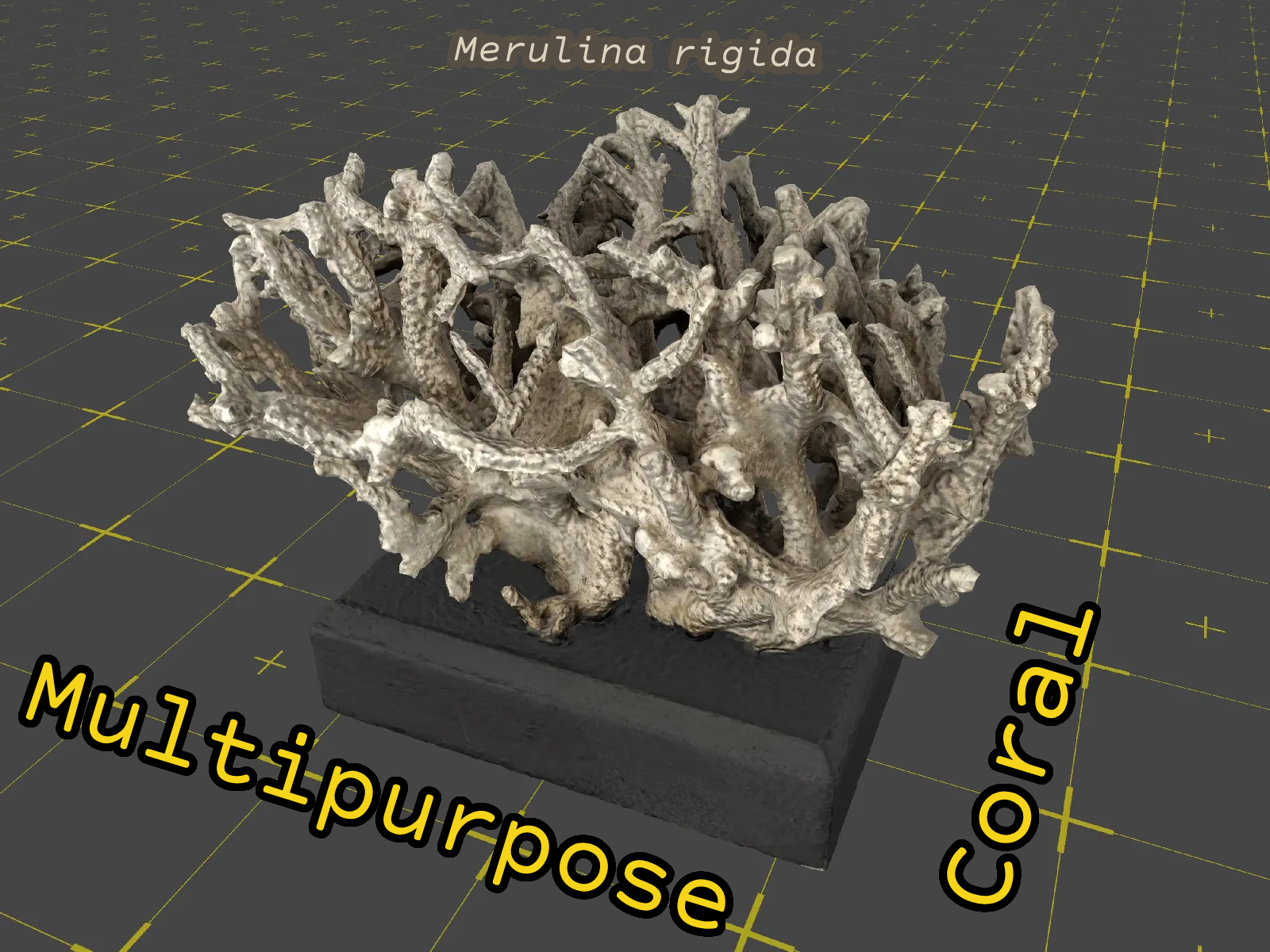 Multipurpose coral                 (coral)