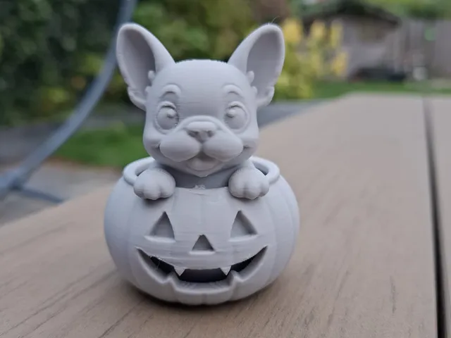Pumkin French Puppy