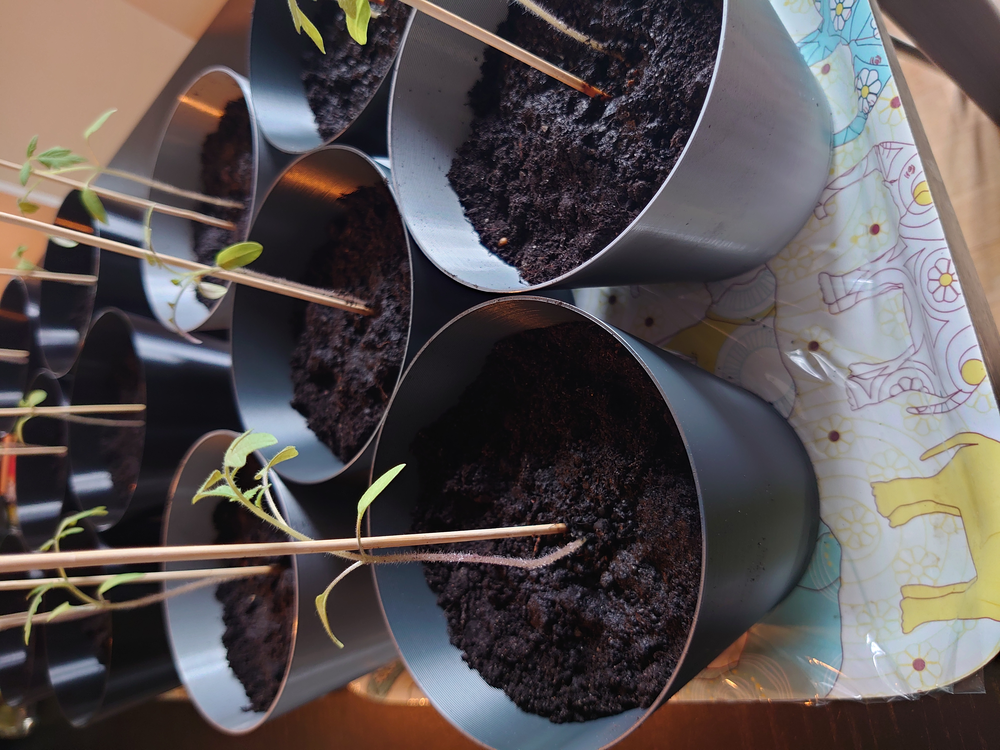 Miniatura 10 do modelo 3D Tomato Planter