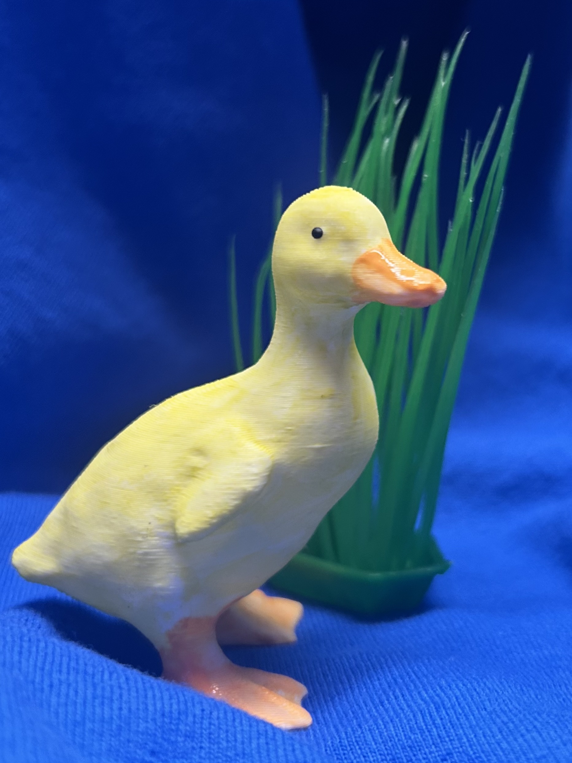 Duckling