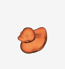 rubber ducky