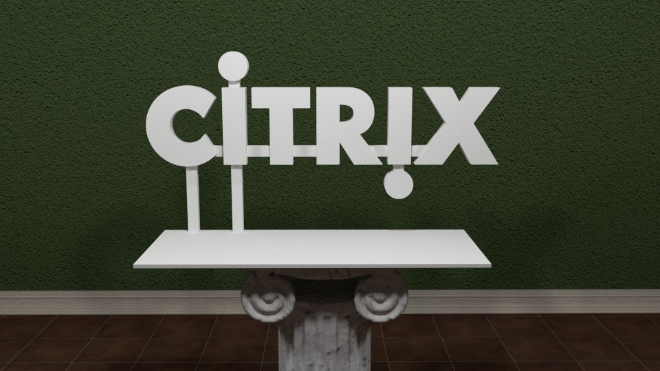 Citrix Logo