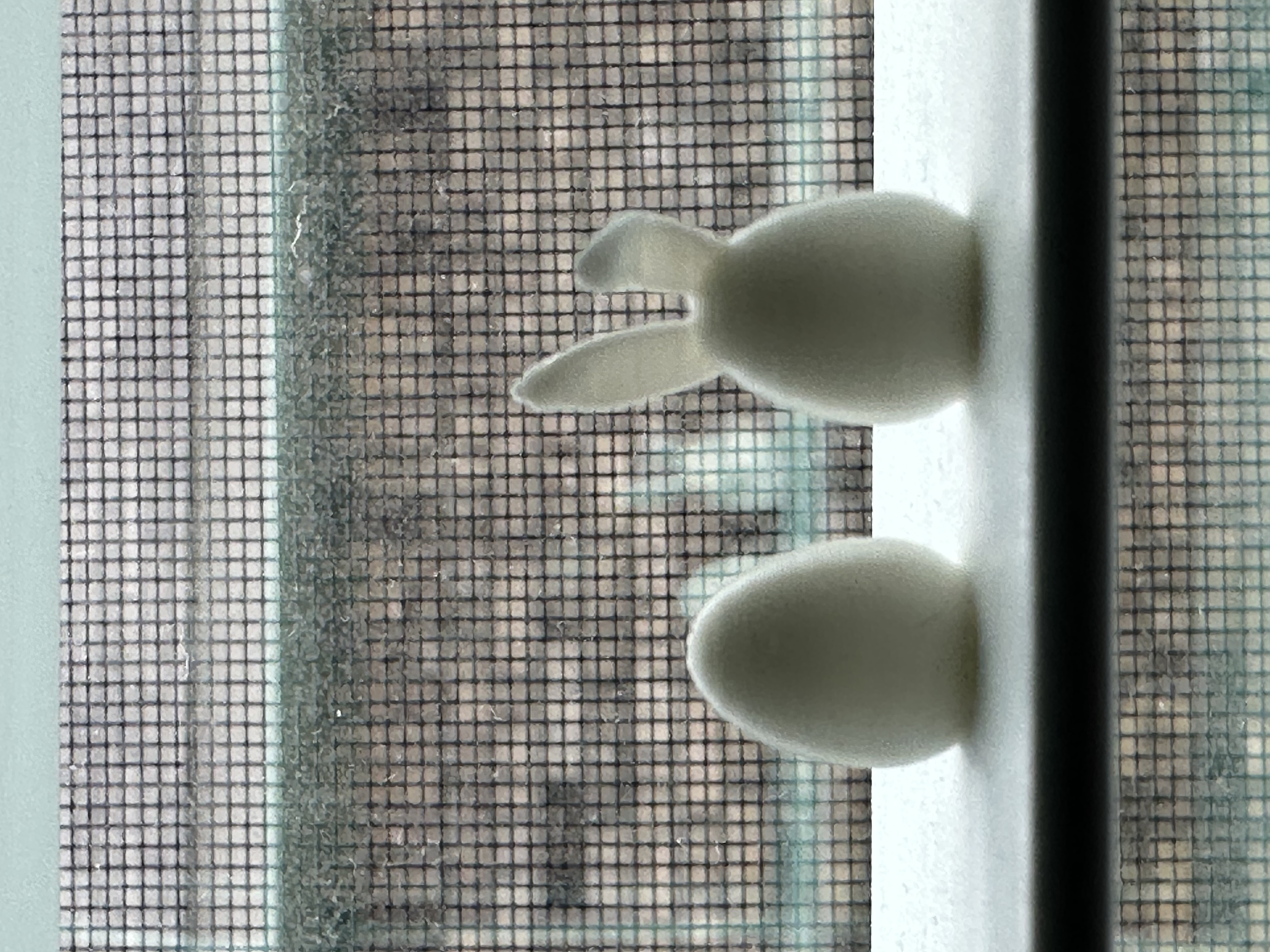 Miniatura 6 do modelo 3D Mini eggs!