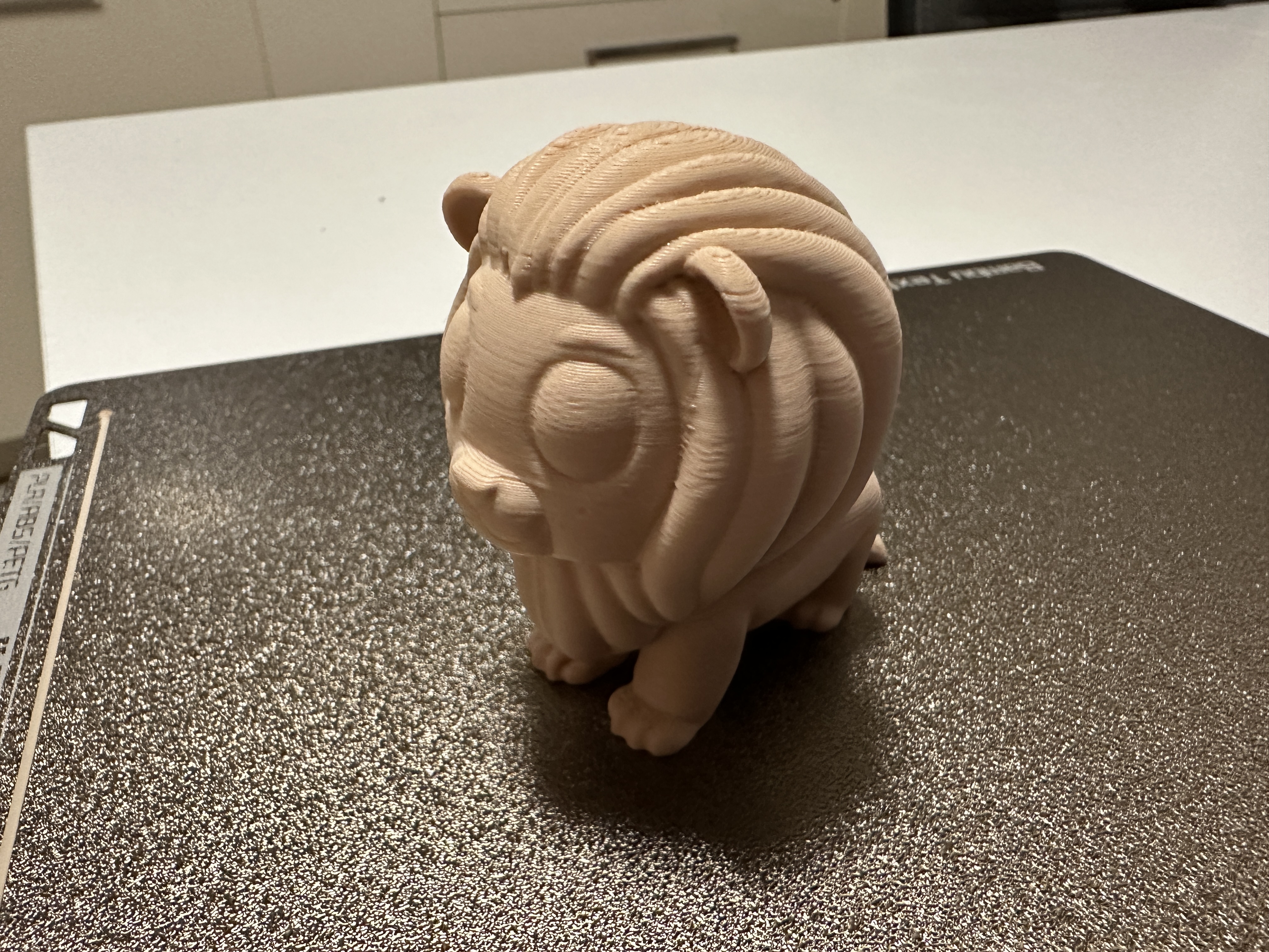 Lion Fluffy — miniatura 4