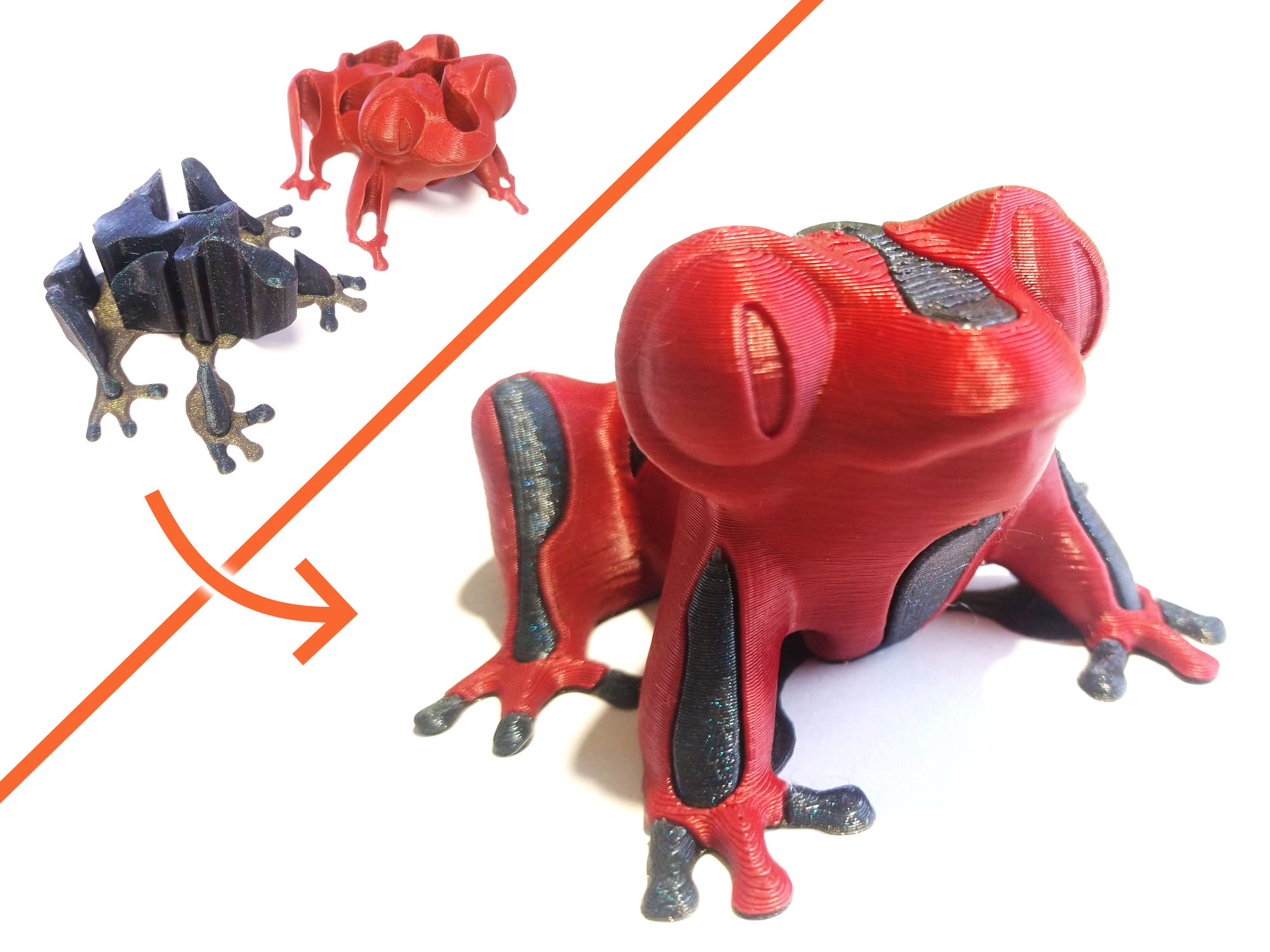 Single Extruder - Dual Color - Burp the Derpy Frog 3D model thumbnail