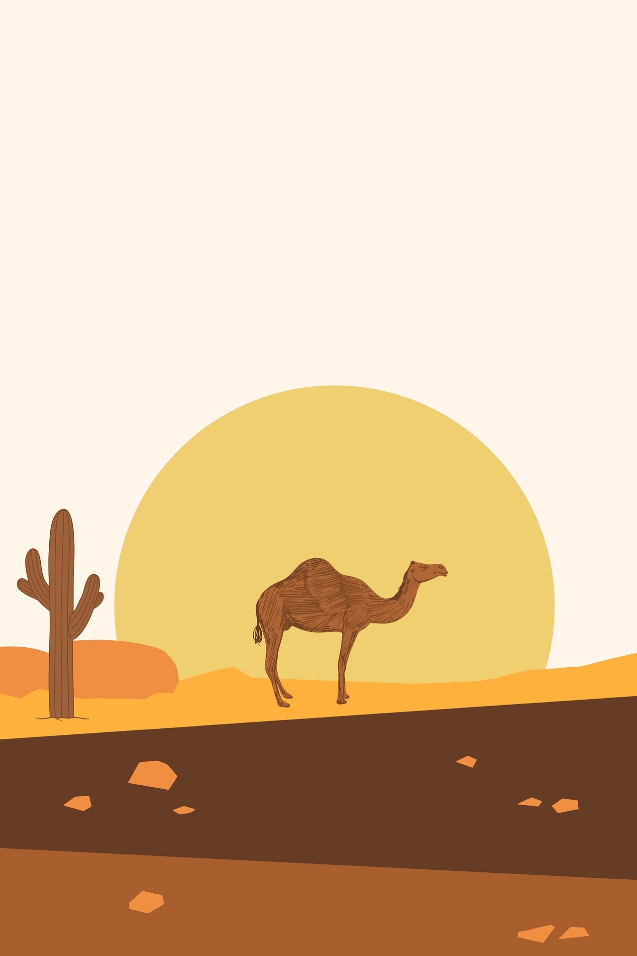 Camel puzzle