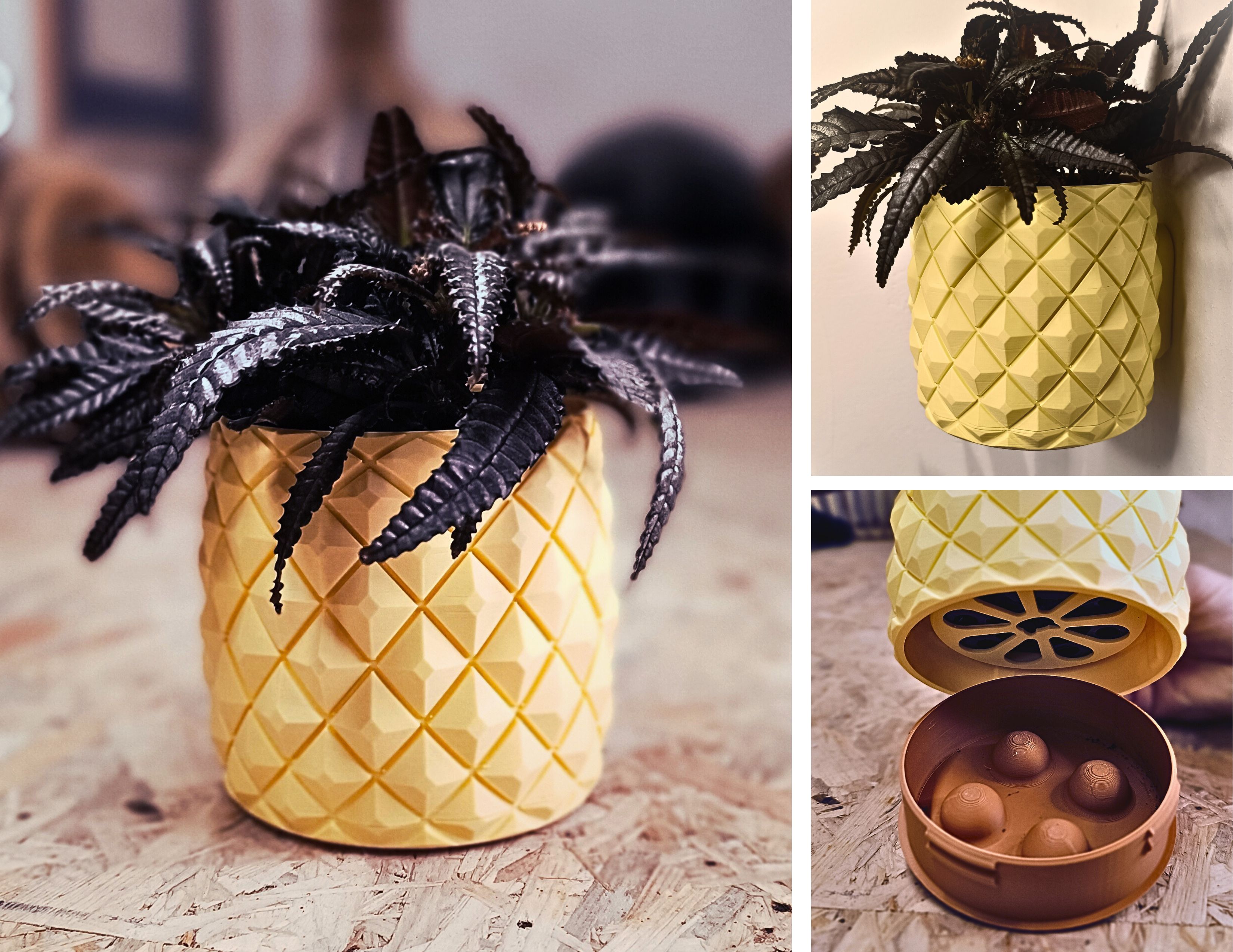 Wall Planter 1.17 Ananas Pineapple