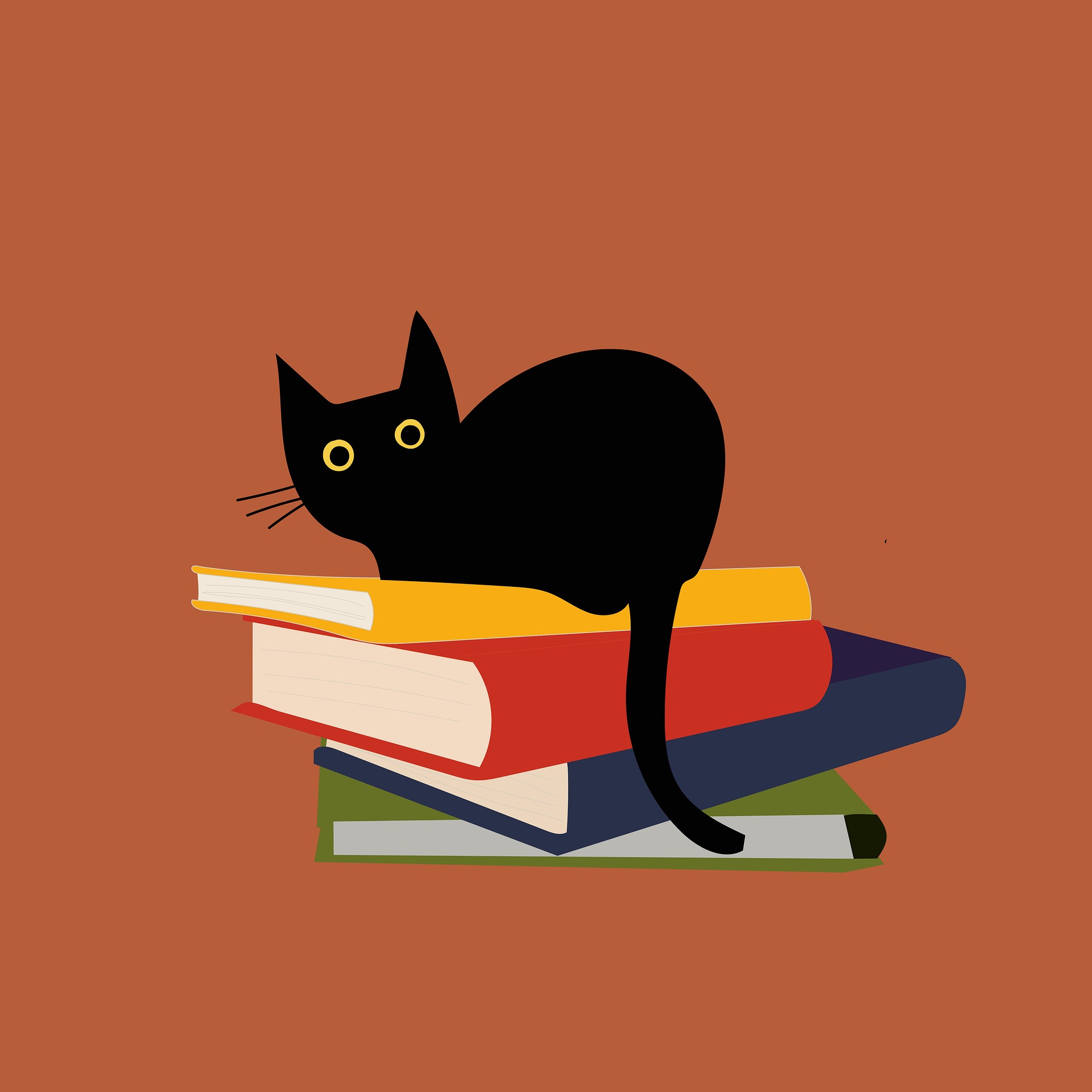Cat Puzzle