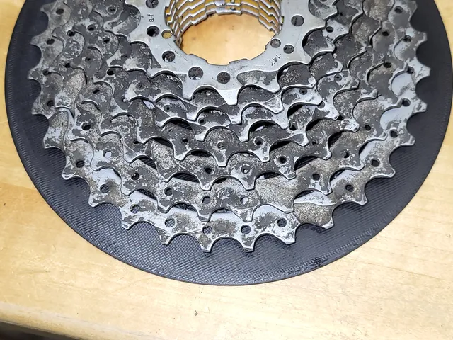 Speichenschutz für eine ältere SRAM Kasette / Spokesguard