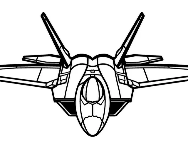 wall art airplane F22 Raptor (large)
