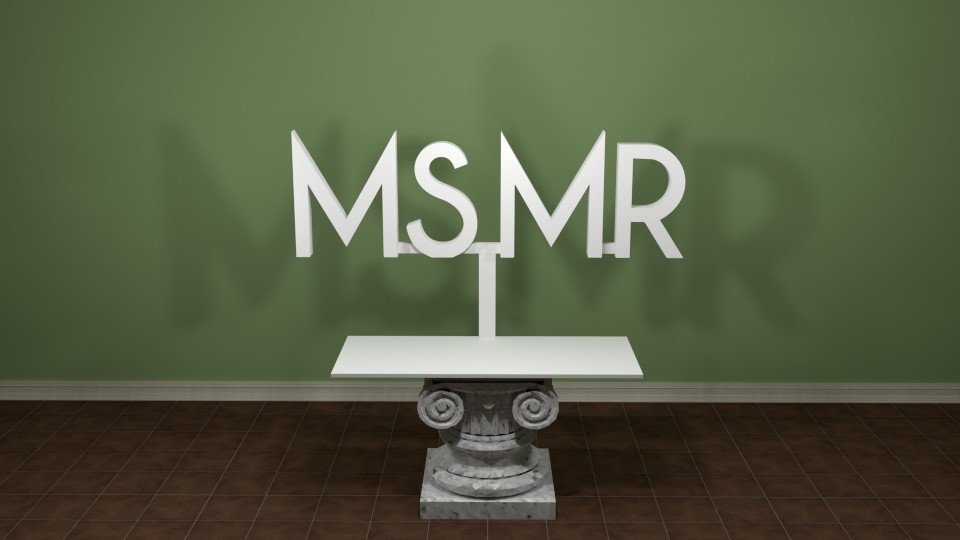 MS MR Logo
