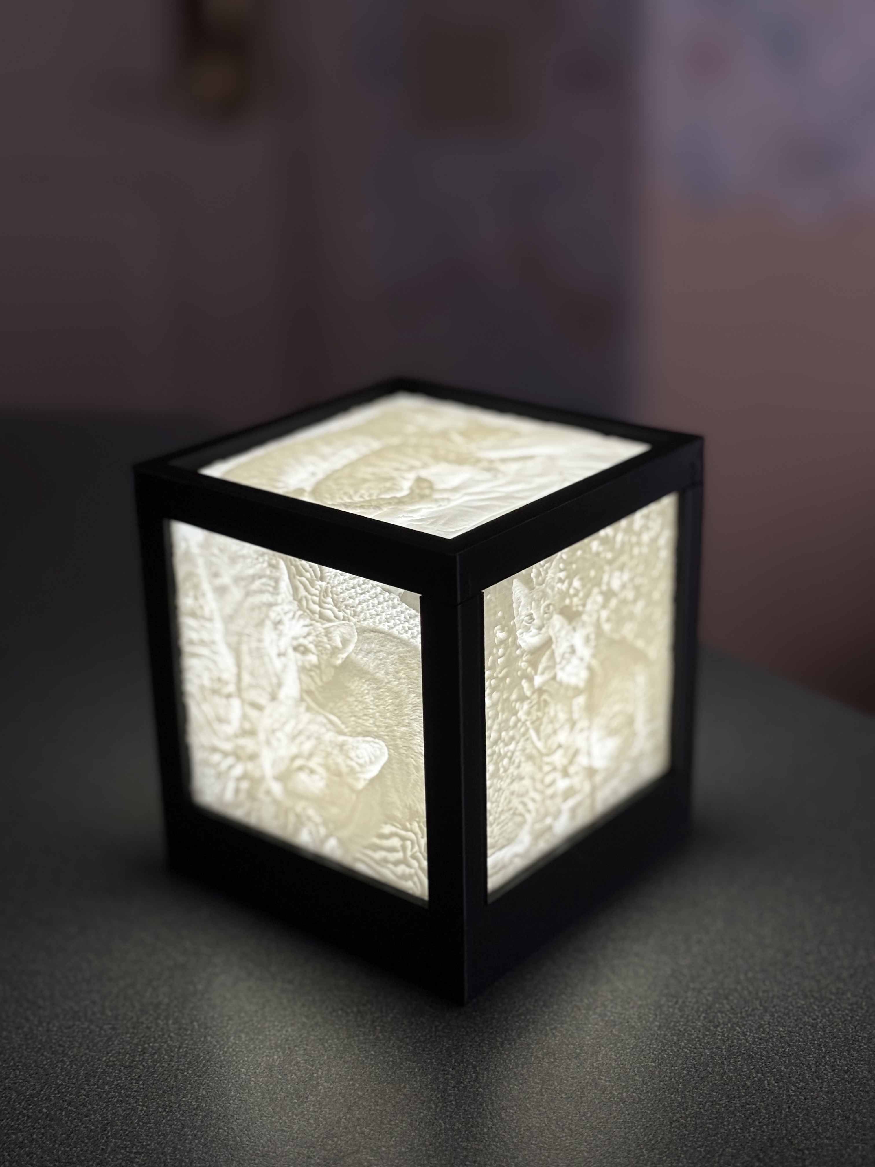 Lithophane Cube by Philip Reed | Download free STL model | Printables.com