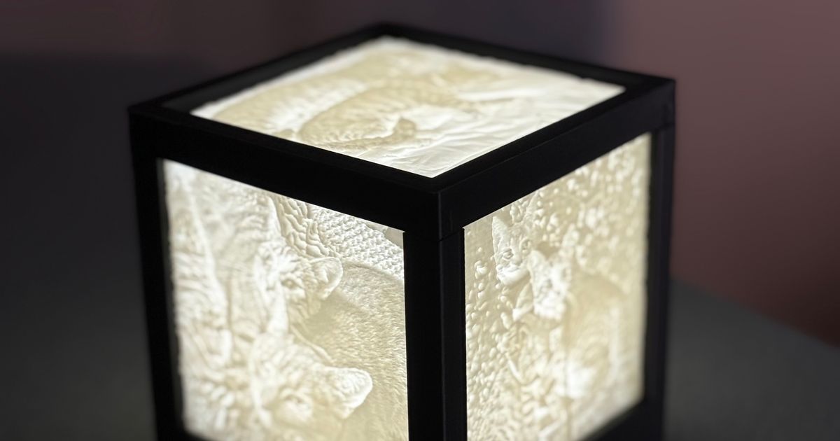 Lithophane Cube by Philip Reed | Download free STL model | Printables.com