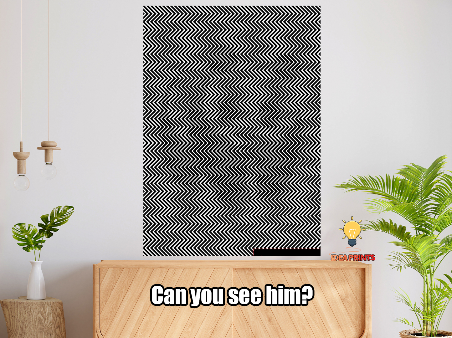 Optical illusion PANDA