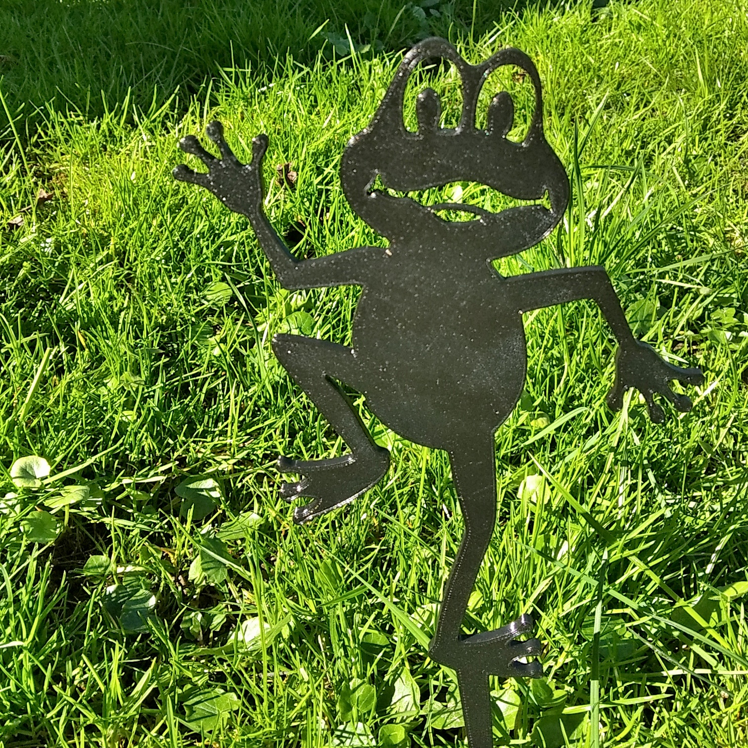 Frog Silhouette