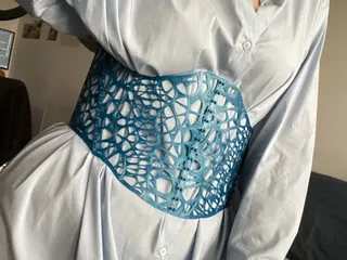 Corset Belt by Variable Seams Download STL model