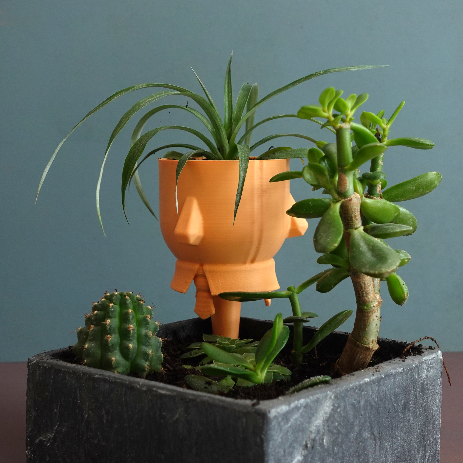 Planter “Extra” — miniatura 3