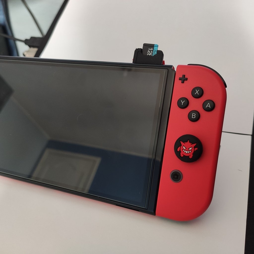 Nintendo Switch Cartridge case for micro SD card