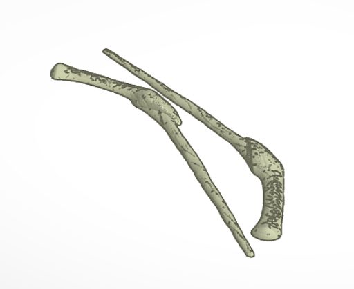 Harry Potter - Bellatrix Wand