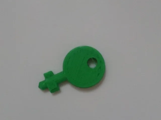 Paper towel dispenser key (Fripa)