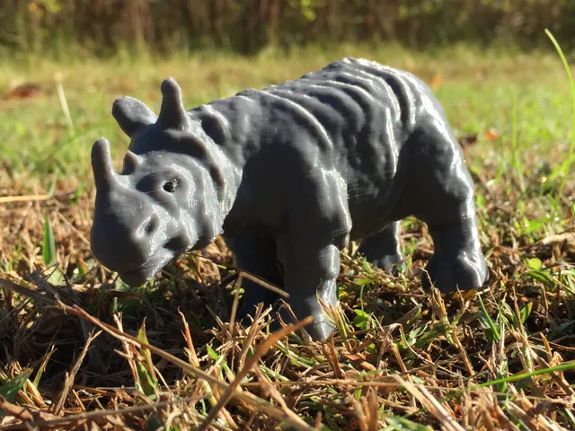 Rhinoceros