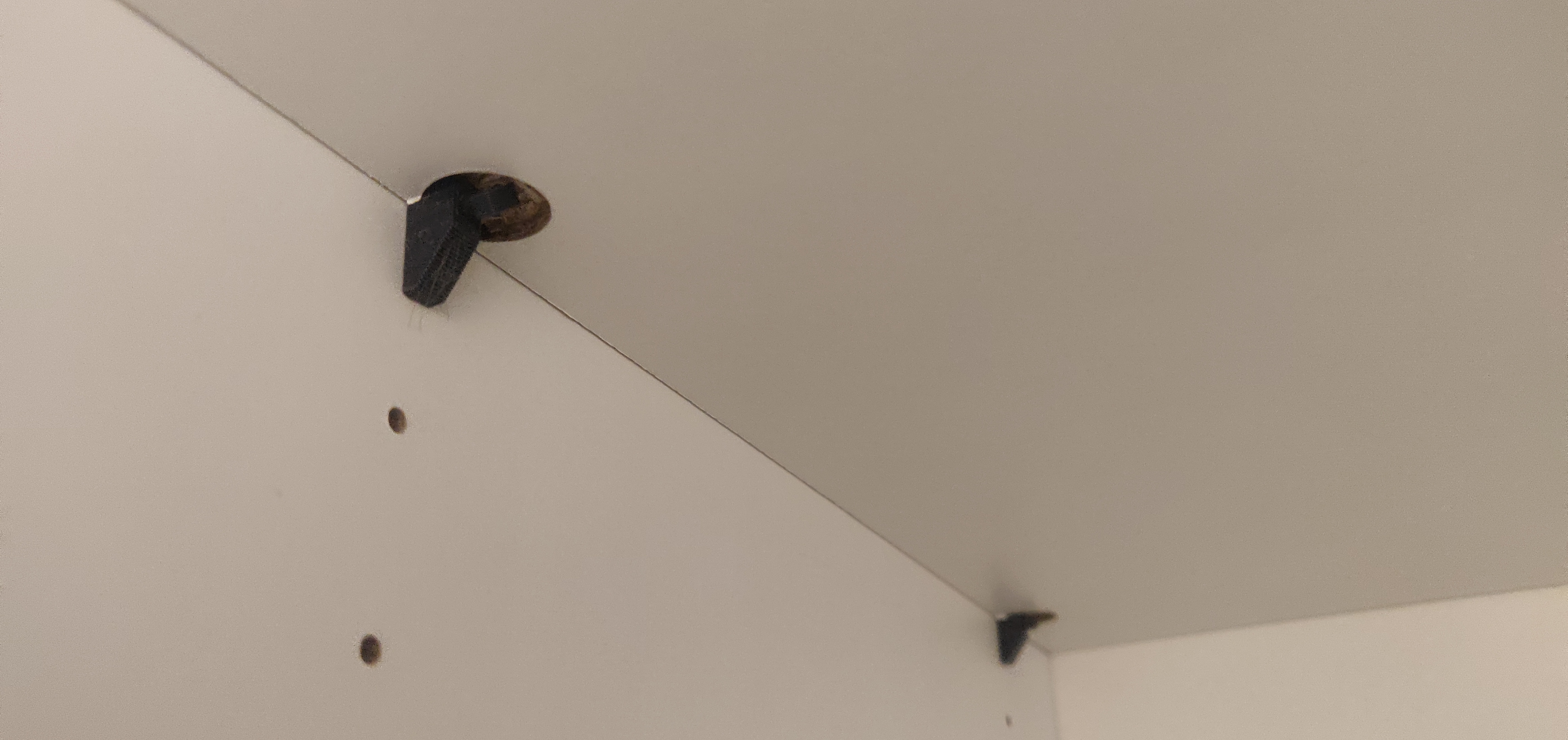 Support for Castorama's Atomia Shelves