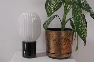 CAPSULE MARKFROST