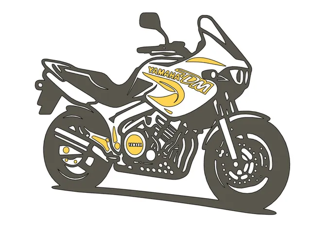 Yamaha TDM 850