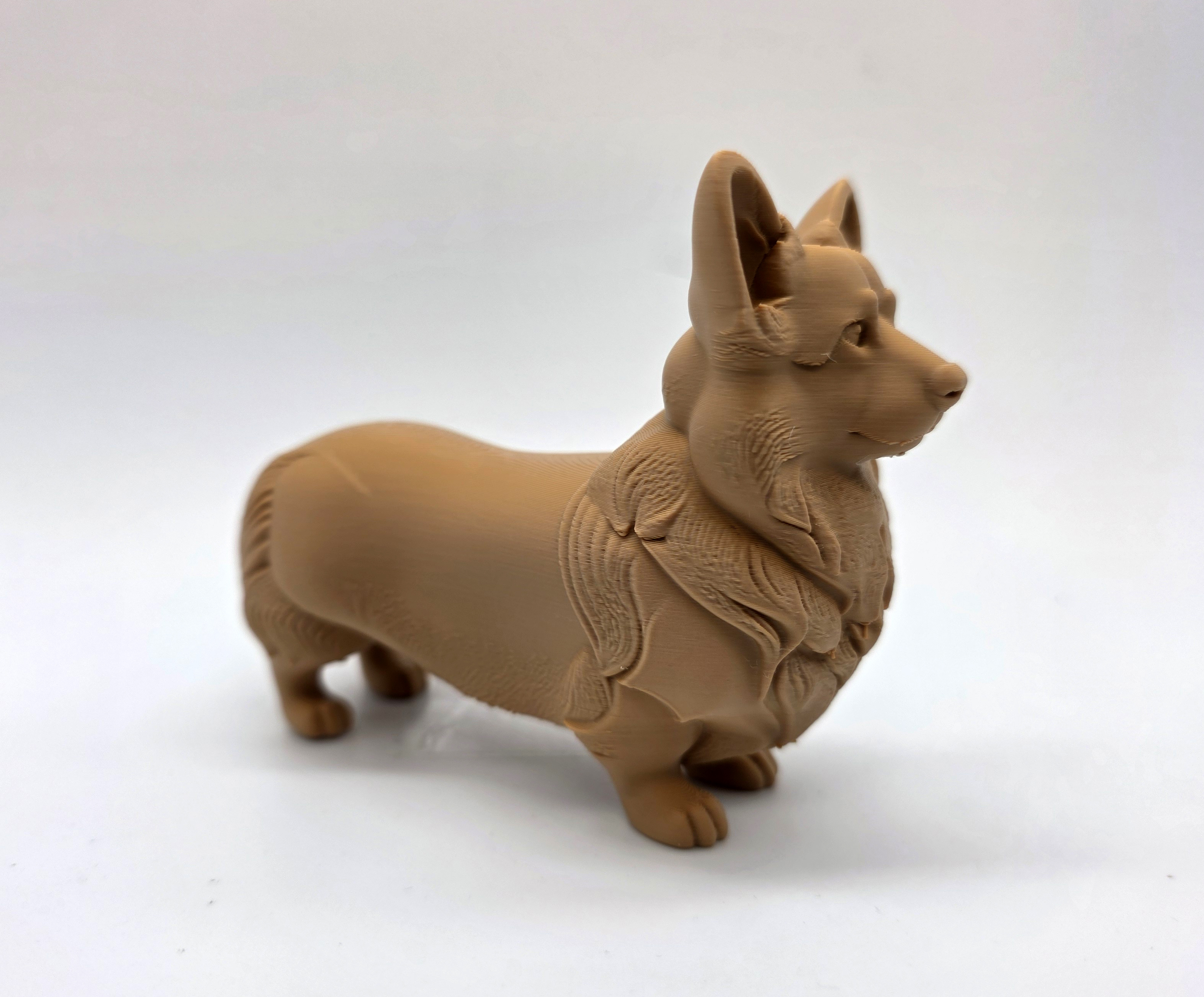 Standing Corgi — miniatura 5