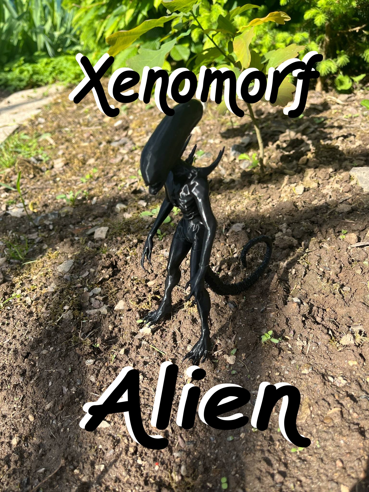 Fantastic Xenomorph Alien