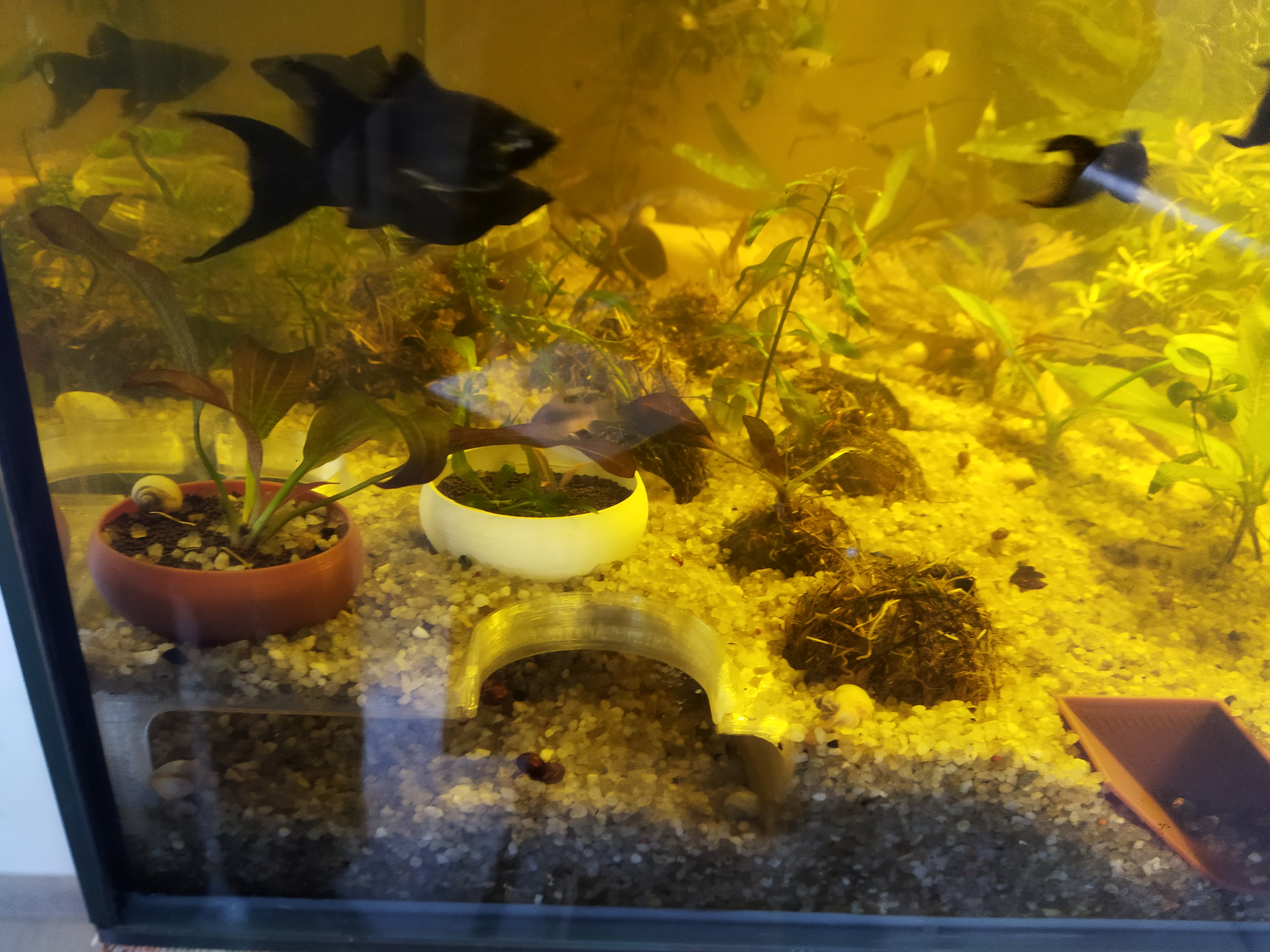 Aquarium tunnel