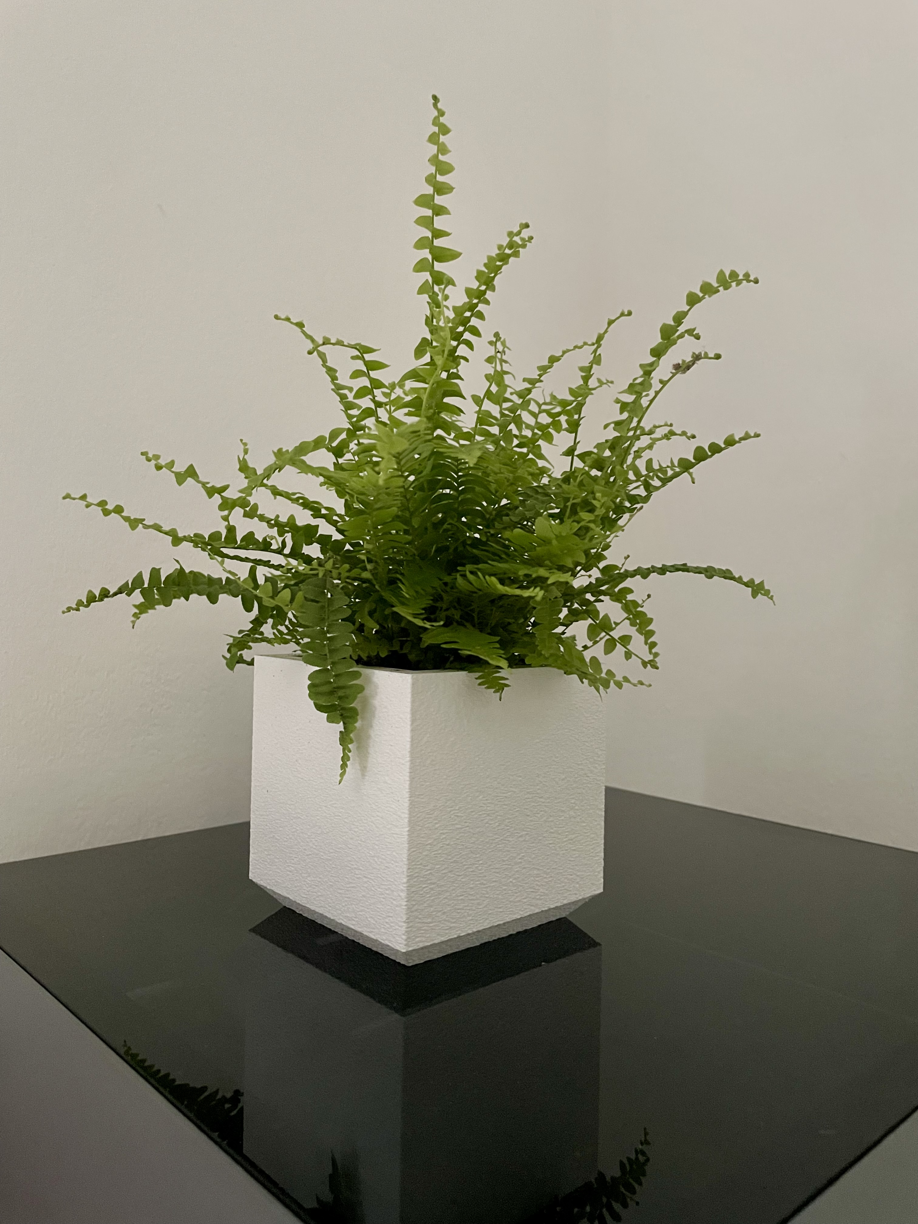 10×10×10 Minimal Planter
