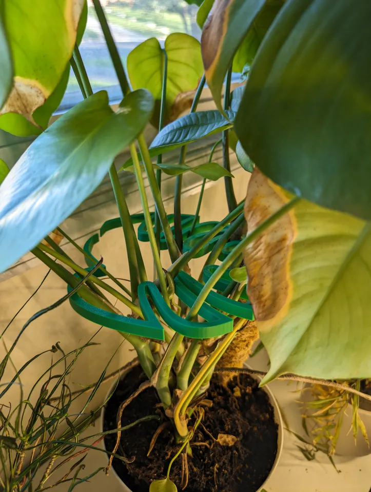 Plant holder monstera leaf shape by Black0ut | Download free STL model |  Printables.com